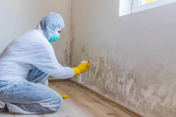 Hvac And Air Duct Mold Remediation inspection of HVAC system in Bridgeport